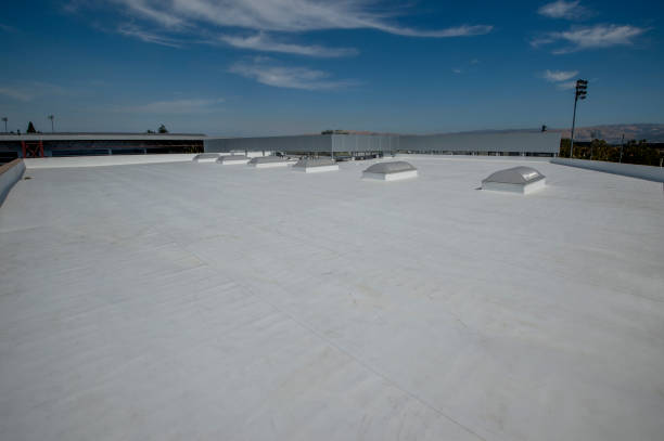 Best 4 Ply Roofing  in Newton, TX