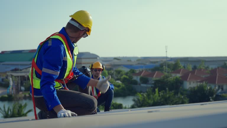 Best Roof Moss and Algae Removal  in Newton, TX