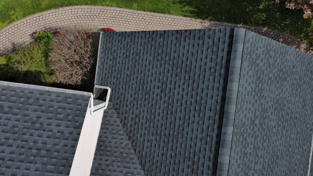 Best Asphalt Shingles Roofing  in Newton, TX