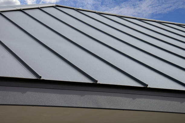 Best Commercial Roofing Services  in Newton, TX