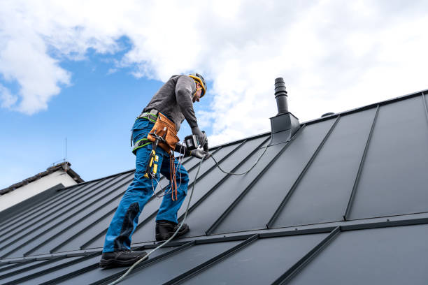 Best Gutter Installation and Repair  in Newton, TX